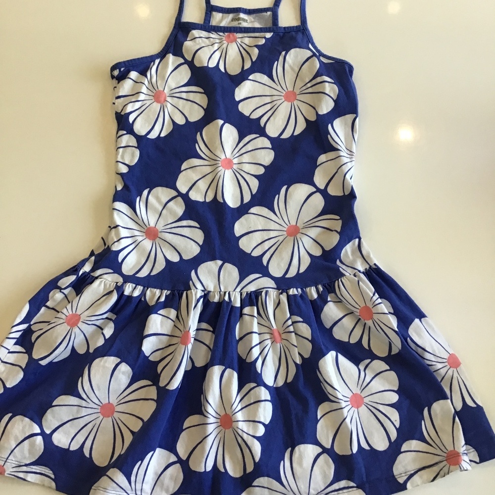 Gymboree, Girls Floral Drop Waist Dress, size 10